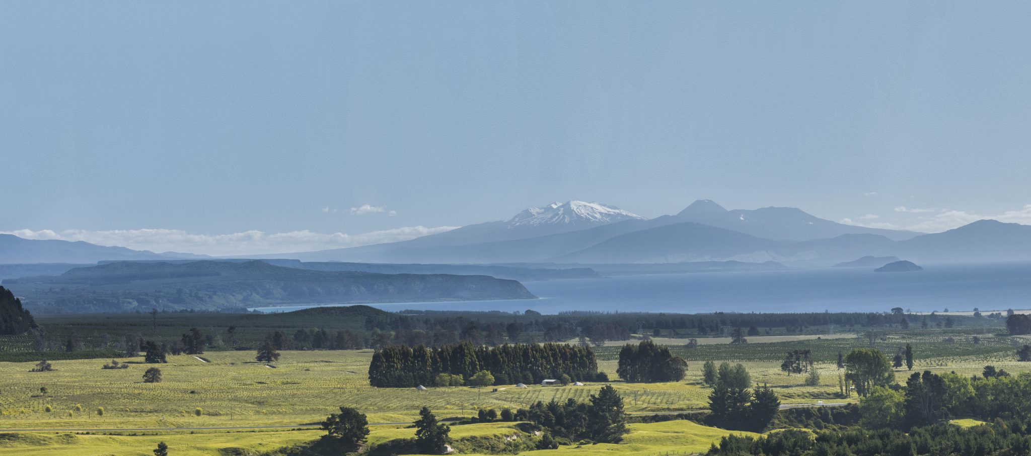 Taupo region